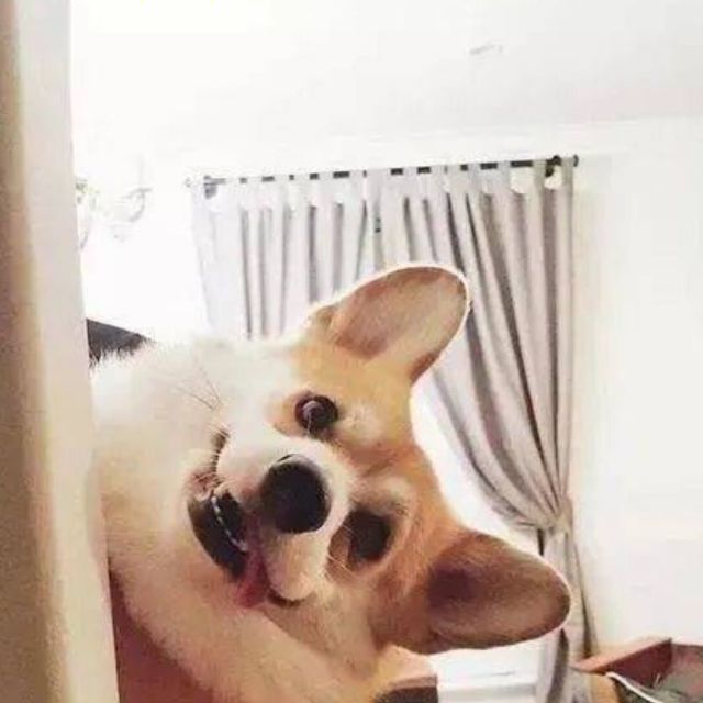 煮酒论英雄